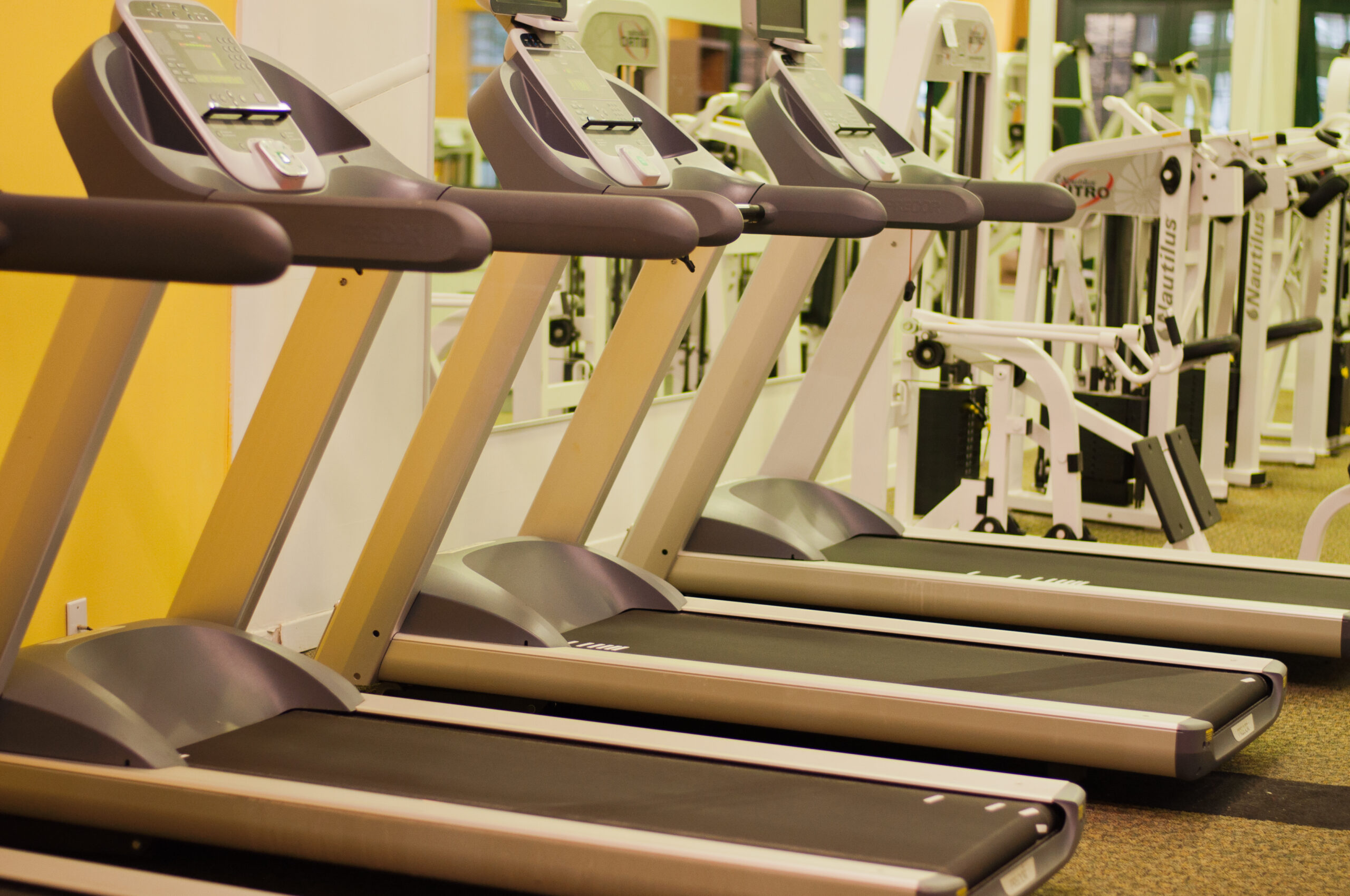 gym equipment