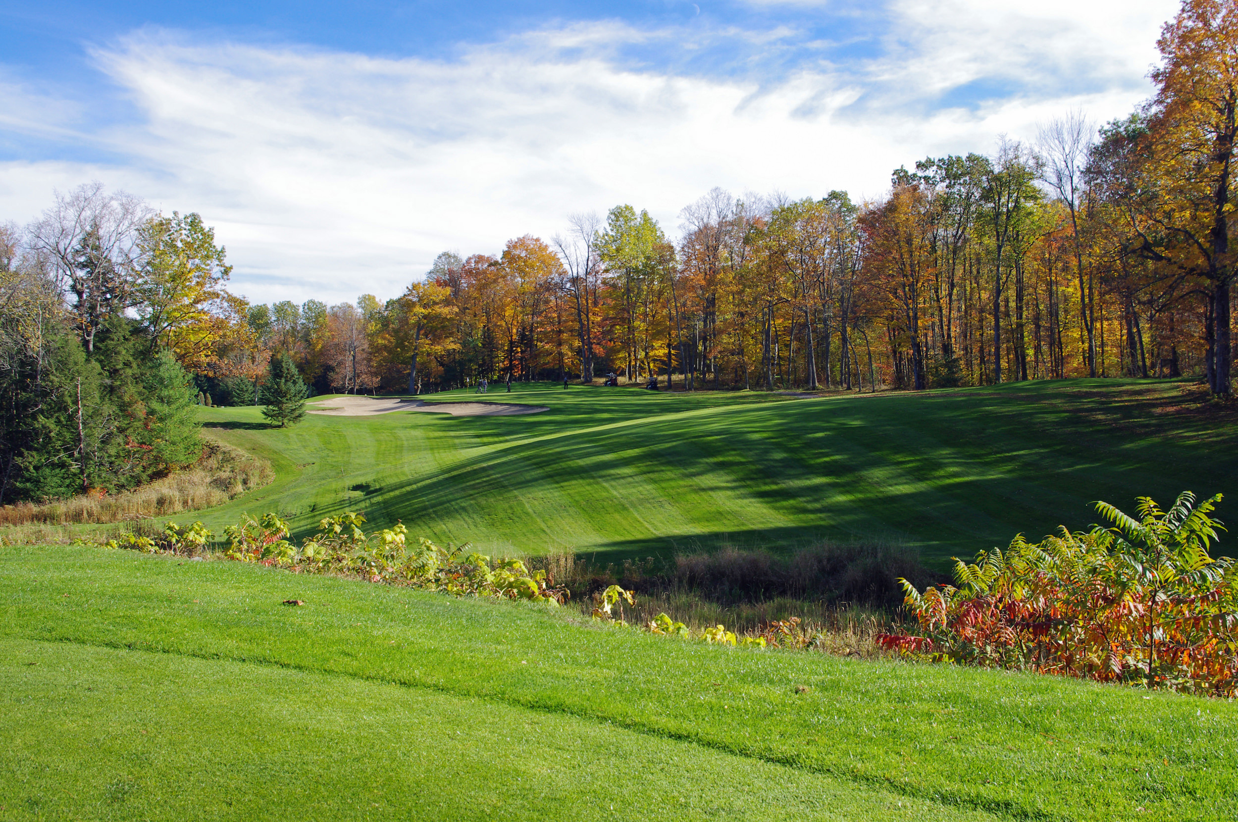 Un parcours de golf en automne