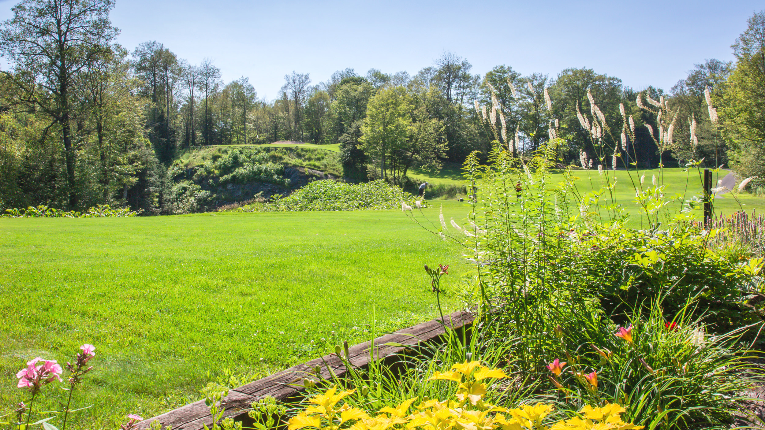 Jardin avec champ herbeux derrière
