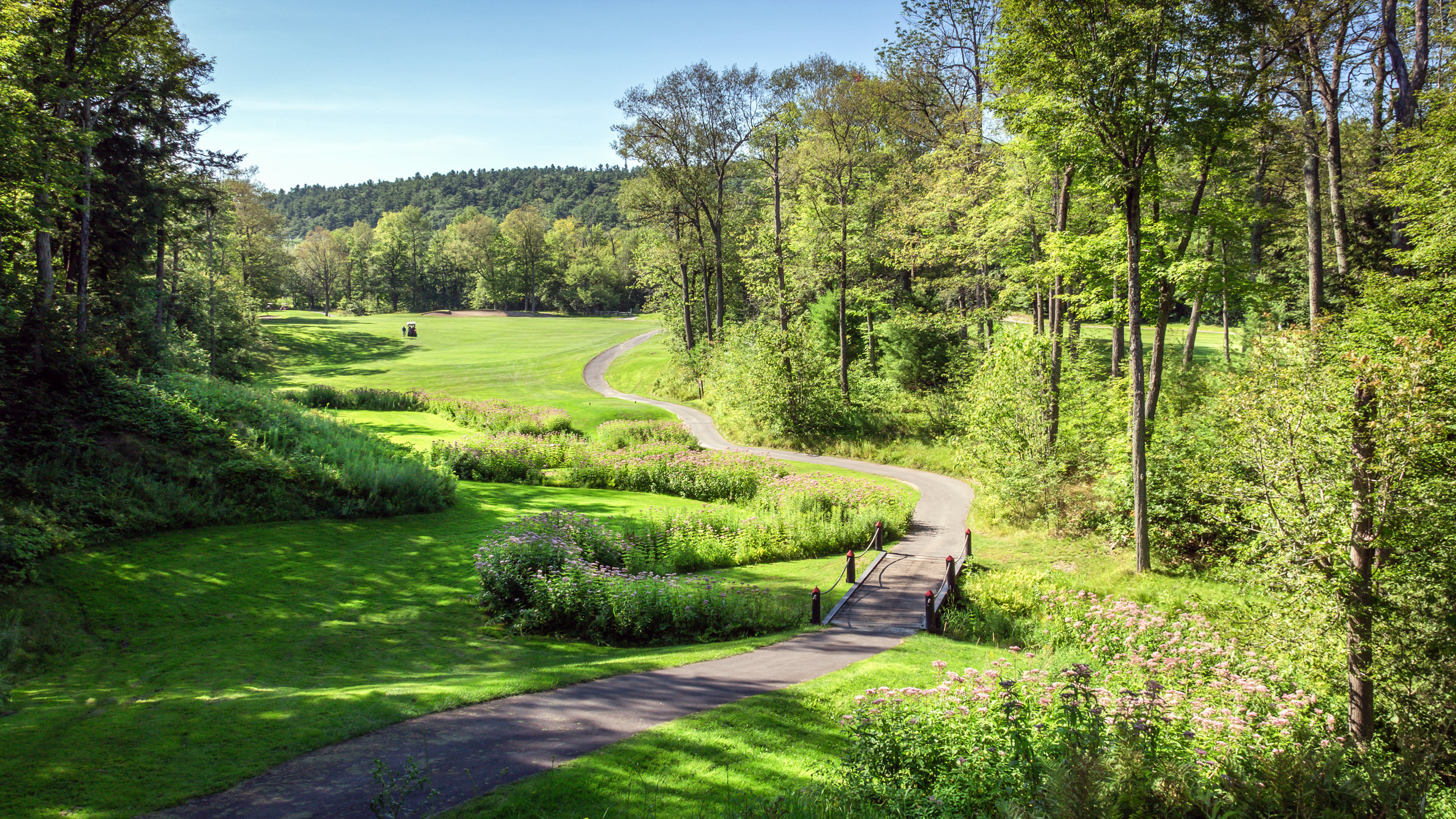 Chemin avec petit pont sur le parcours en or