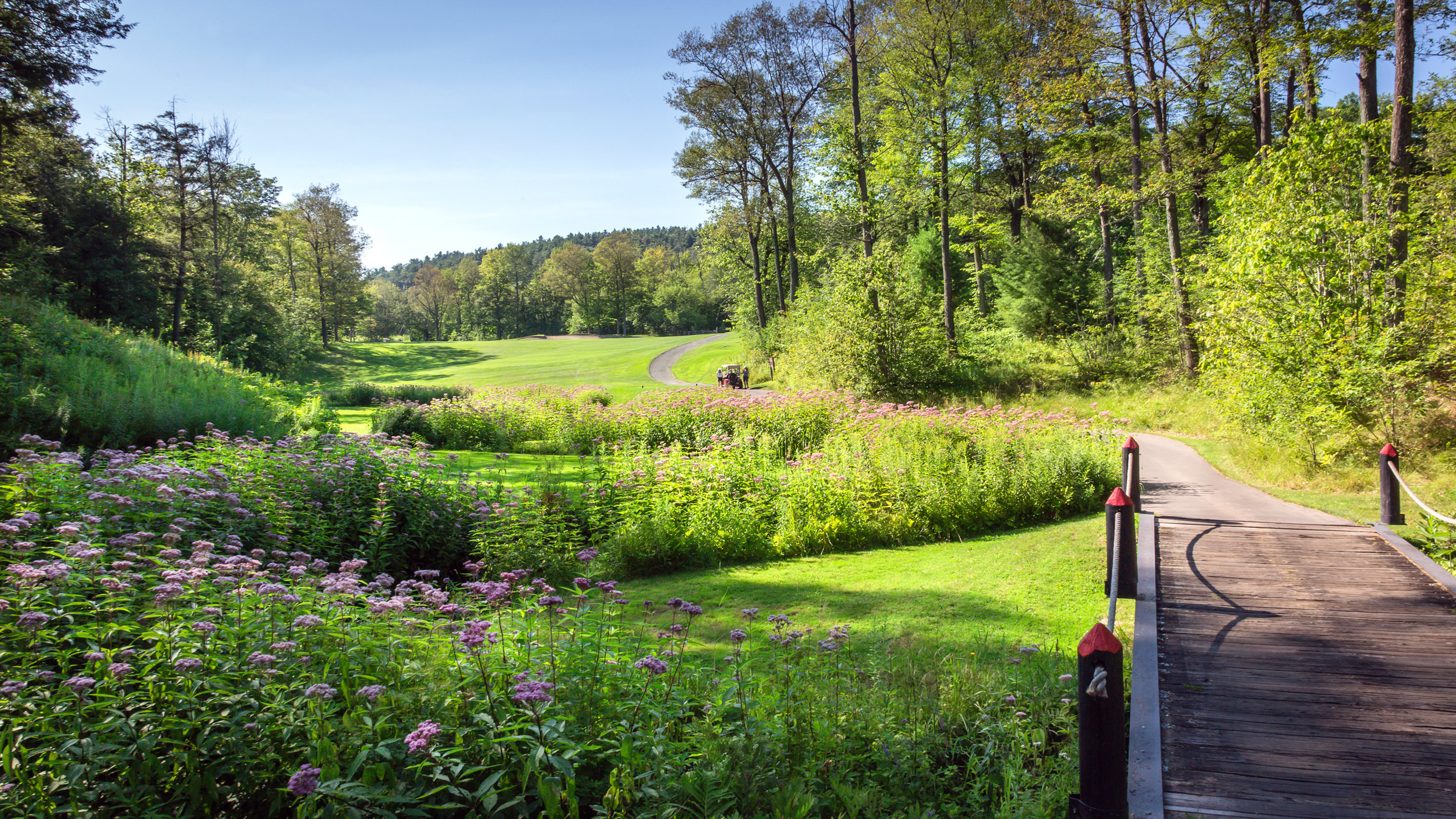 terrain de golf avec un petit pont