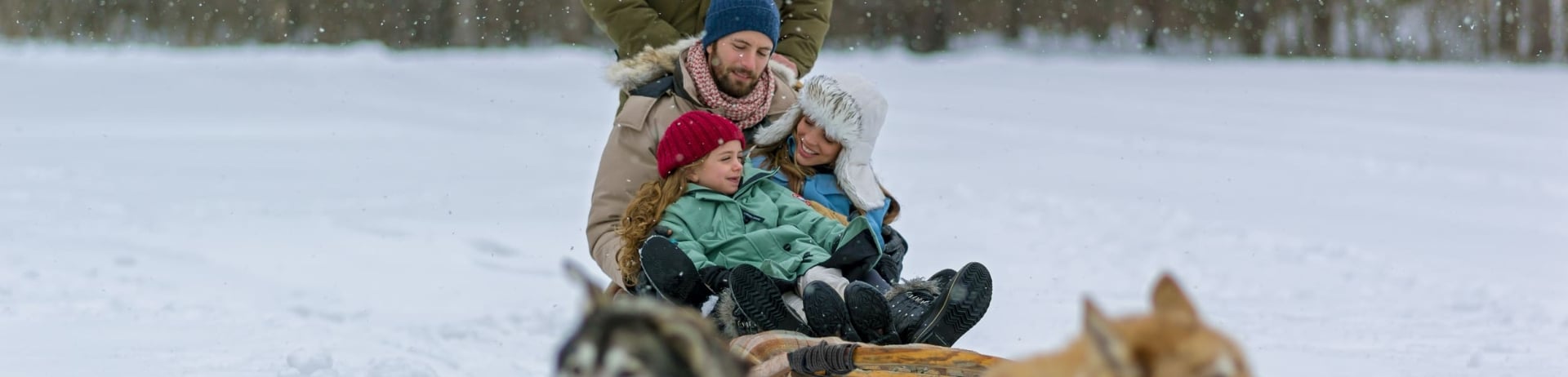 family dog sledding